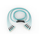 Corning EDGE: Trunks